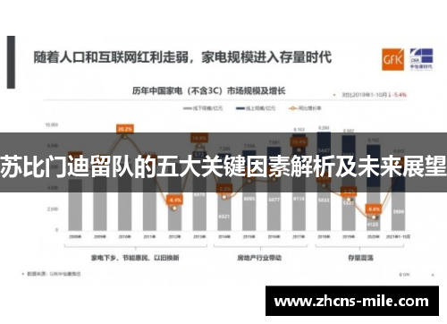 苏比门迪留队的五大关键因素解析及未来展望 苏比门迪留队的五大关键因素解析及未来展望
